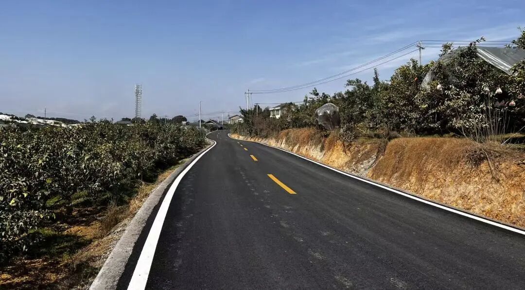 沿路可见的龙庵果园景观